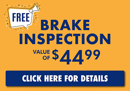 2205 May Brakes